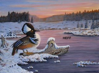  Wildlife Painting of A Male Hooded Merganser by R D Heffron
