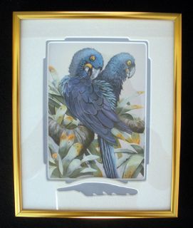 James w Harris Macaw Parrot Blue Bird Watercolor Painting Print Framed