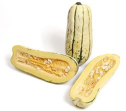 30 Delicata Winter Squash Seeds Heirloom Same Day Shipping