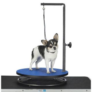 Master Equipment Small Dog Pet Grooming Table Top Blue