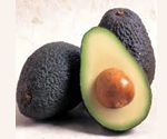 Hass Avocado Grafted Live Plants 5 Gallon Best Live House Plant