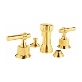 Santec Bidet Fitting With EY Style Handles 2970EY55 Satin 24k Gold