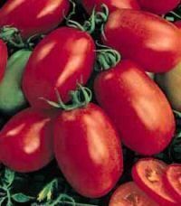 30 Red Roma Heirloom Tomato Seeds Same Day Shipping
