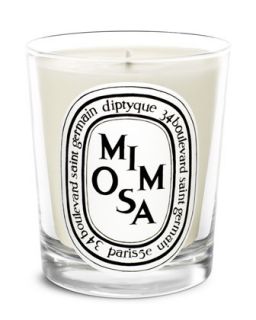 Diptyque Mimosa Candle   
