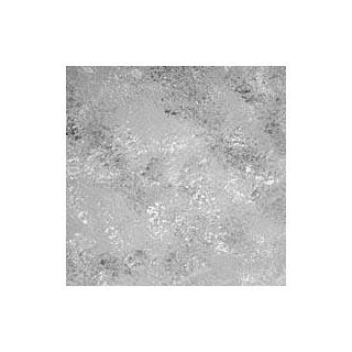  Charcoal Dust 10 x 20 (3 x 6m) Muslin Background