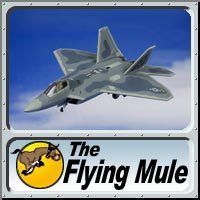  Hogan Wings F 22 Raptor Diecast Model USAF 49th FW Holloman AFB