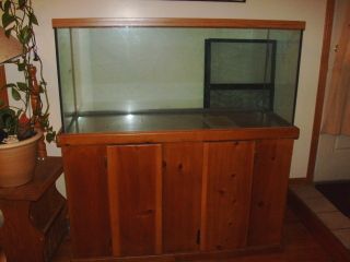 75 Gallon fish tank with real oak stand Reptile screen lid included