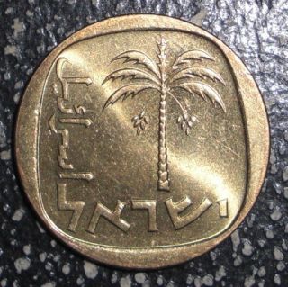 Israel 10 Agorot Palm Tree Coin