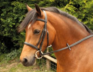 Windsor Equestrian Horses Leather Bridle Equestrian Supplies