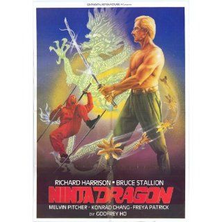 Ninja Dragon Movie Poster (27 x 40 Inches   69cm x 102cm