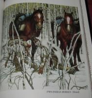 THE ART OF BEV DOOLITTLE  Signed  Text & Poems by Elise Maclay HB/DJ