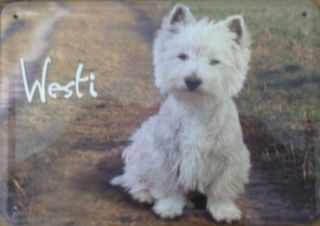  10x15cm Hund Westi West Highland White Terrier Postkarte Schild