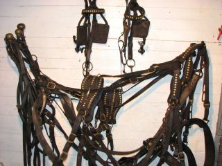 Horse Team Harness with Lines Bridle