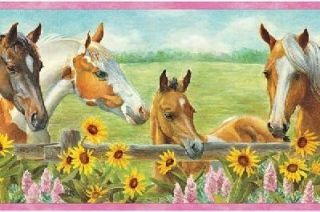 Sunflower Horse and Colt Pink Wallpaper Border