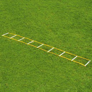 Fisher 12 Single Speed Ladders WHITE/GOLD 16 W X 12 L