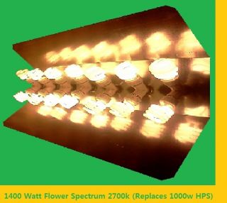  Watt CFL Energy Saver Flower Grow Light Set ► Indoor Plants