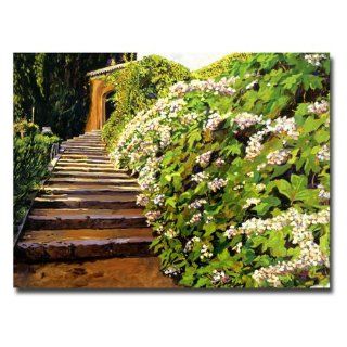 Trademark Art Garden Stairway Tuscany Canvas Art by David