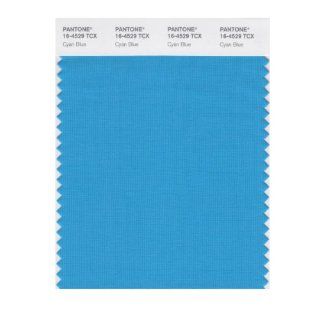 PANTONE SMART 16 4529X Color Swatch Card, Cyan Blue Home