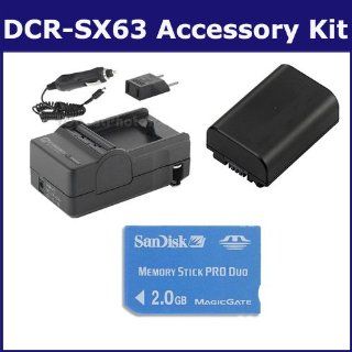  SDNPFV50 Battery, SDM 109 Charger, T31764 Memory Card
