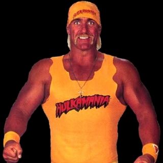  Hulk Hogan. This is an officially licensed Hulk Hogan t shirt costume