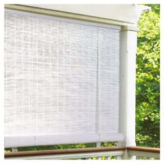 Lewis Hyman 320136 Roll Up Blind White PVC 36 x 72 In