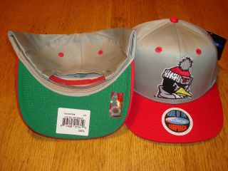 Youngstown State University Penguins Snapback Hat RARE Fast Shipping
