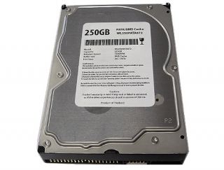  Cache 7200RPM Ultra ATA 100 IDE PATA 3 5 Desktop Hard Drive