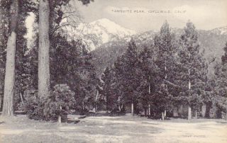 Tahquitz Peak Idyllwild California Pre WW2 Postcard