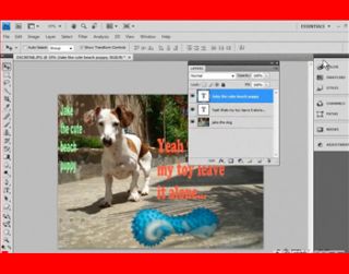 Adobe Photoshop CS4 InDesign Page Layout Graphic Design Mac PC