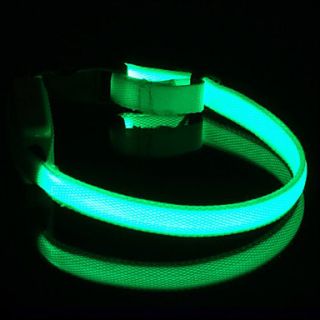  LED Licht Hundehalsband (25   35cm), alle Artikel Versandkostenfrei