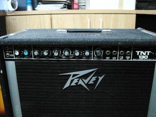Peavey TNT130 Bass Amp with 15 Black Widow Speaker