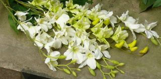  38 PURPLE GREEN WHITE ARTIFICIAL WEDDING SILK CATTLEYA ORCHID FLOWER