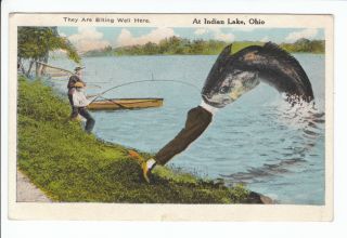 Giant Fish Exaggeration Lakeview Indian Lake Ohio OH Old Postcard