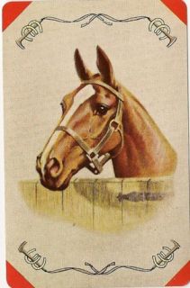 Swap Playing Cards 1 Single Horse Head Red Border