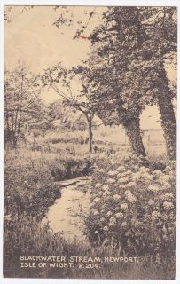 Newport Isle of Wight Blackwater Stream 1920 Postcard