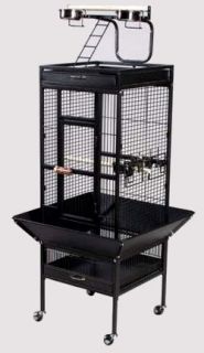 Prevue Wrought Iron Bird Cage