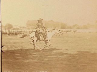 Buffalo Bill Racing on His Horse Isham