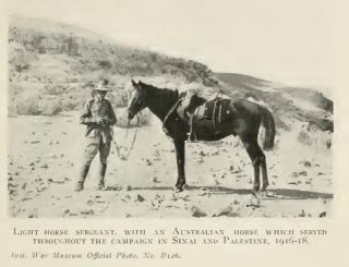 Australian Military Campaigns WWI 1914 1918 Gallipoli