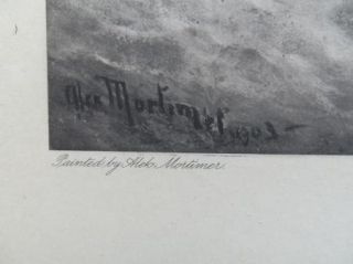 Alexander Mortimer (1885 1895) Antique Etching Seafowl Rock Near