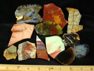 12 Various Agates Jaspers Rough Slices Great for Cabs Lapidary