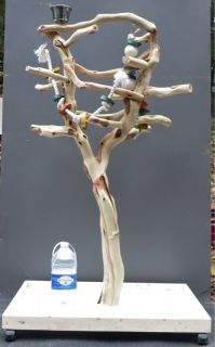 Manzanita Parrot Tree Bird Stand Toy Play Gym Like Java Wood