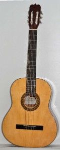 Jasmine by Takamine JS441 Nylon String Acoustic Guitar