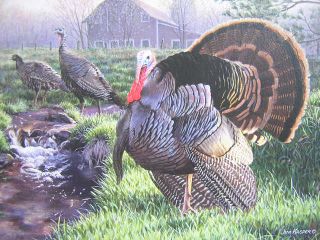 Jim Kasper Spring Show Wild Turkey Stamp Print A P