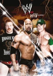   Wrestling 2013 Official A3 Wall Calendar Brand New Sealed John Cena