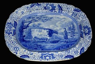  RARE 1820 s Blue Transfer Durham Ox with John Day Platter 20