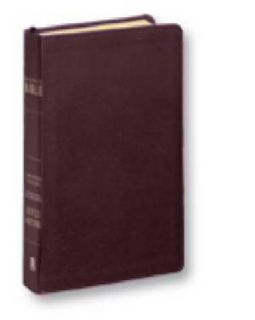 Burgandy Leather Joyce Meyer The Everyday Life Bible Free Fast Shipping  