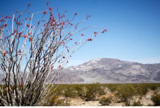 CALIFORNIA LOT 29 PALMS 199 PER MO PAID IN 29 MONTHS  