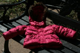 Baby Gap Warmest Down Winter Coat Jacket Size 2T