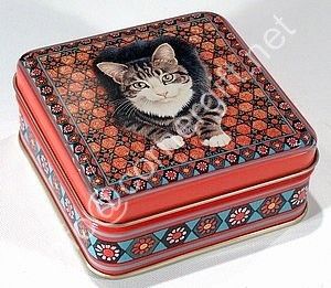 Lesley Anne Cat Square Pill Tins Box Kitten Gatti ORG