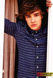 Liam Payne One Direction 2012 Pin Up Mini Poster